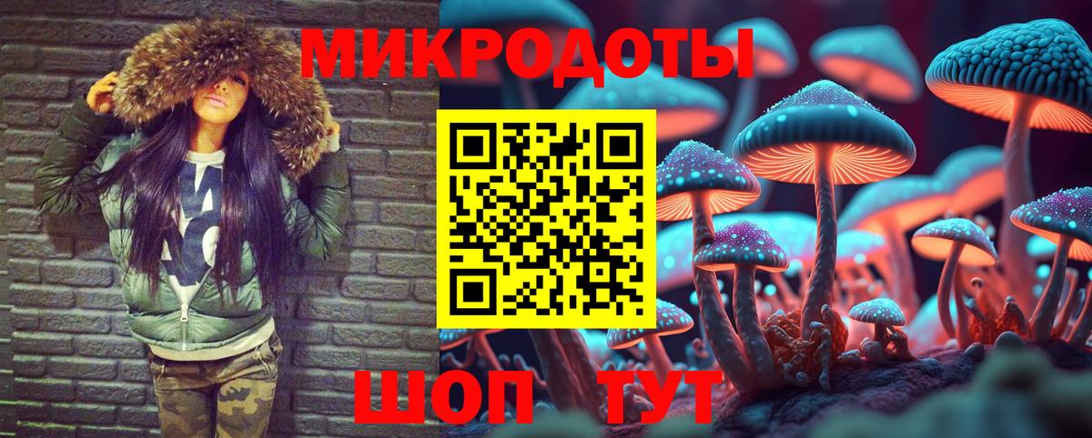 Ярославль  Псилоцибиновые грибы прущие грибы  Вход с VPN  Псилоцибиновые грибы мицелий 