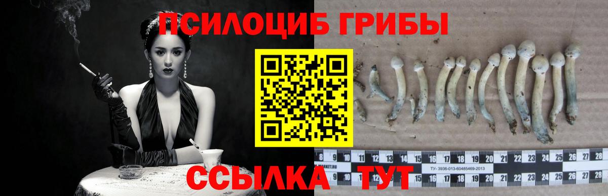 Псилоцибиновые грибы прущие грибы Ярославль